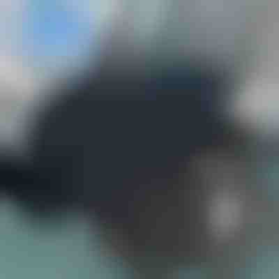 Cuscino rotante a 360 gradi | SPINPAD