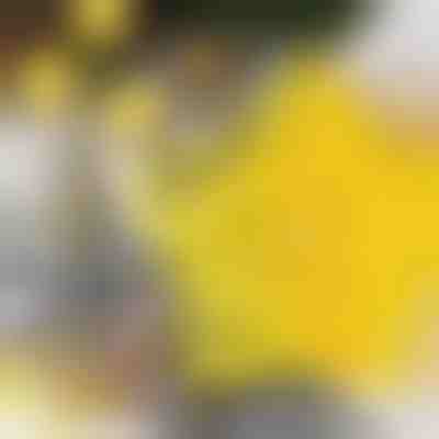 (SP) surprise product