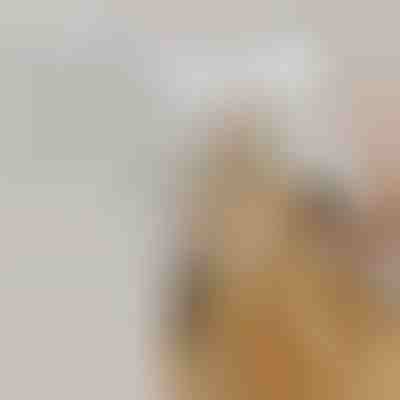 Spazzola a vapore spray ricaricabile per animali domestici per la pulizia del pelo | GROOMSY