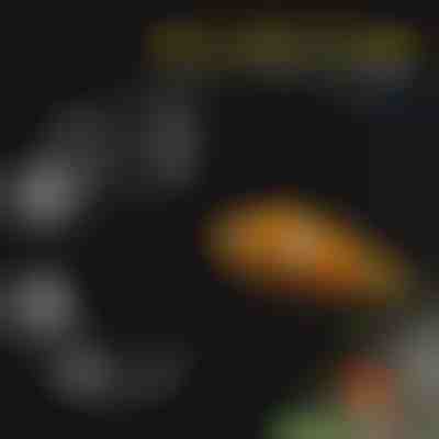 Set di vassoi per l'alimentazione dell'acquario | FINTROL