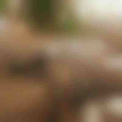 Organizzatore di cavi magnetico adesivo | CABLIP