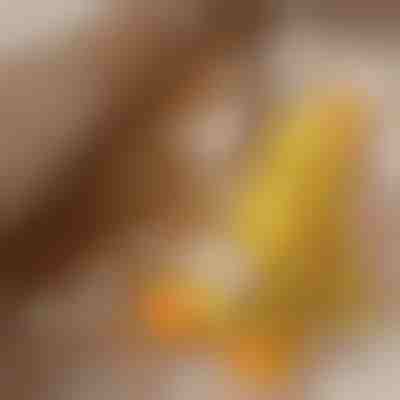 Peluche calmante per cani con suono di starnazzamento - riduce l'ansia da separazione | CALMQUA