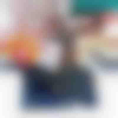 Lo scherzo del grillo che non troveranno mai | CRICKLY